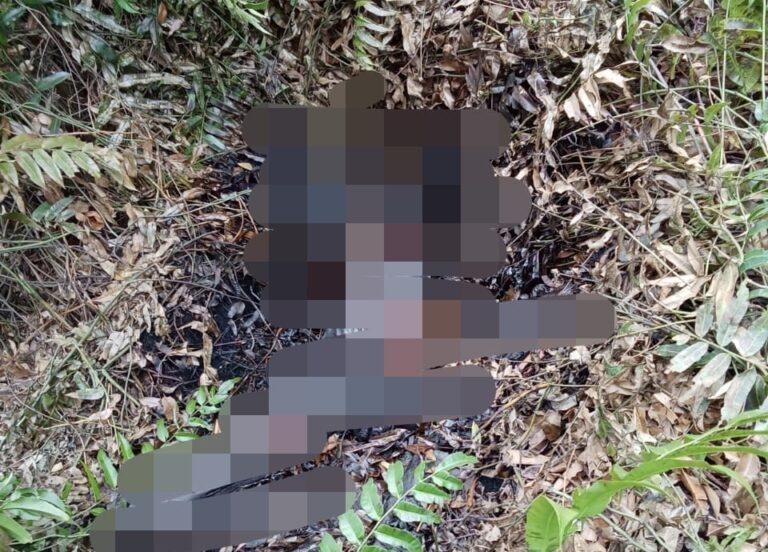 Penemuan Mayat Tanpa Identitas Membusuk di Gambut, Polisi Masih Selidiki