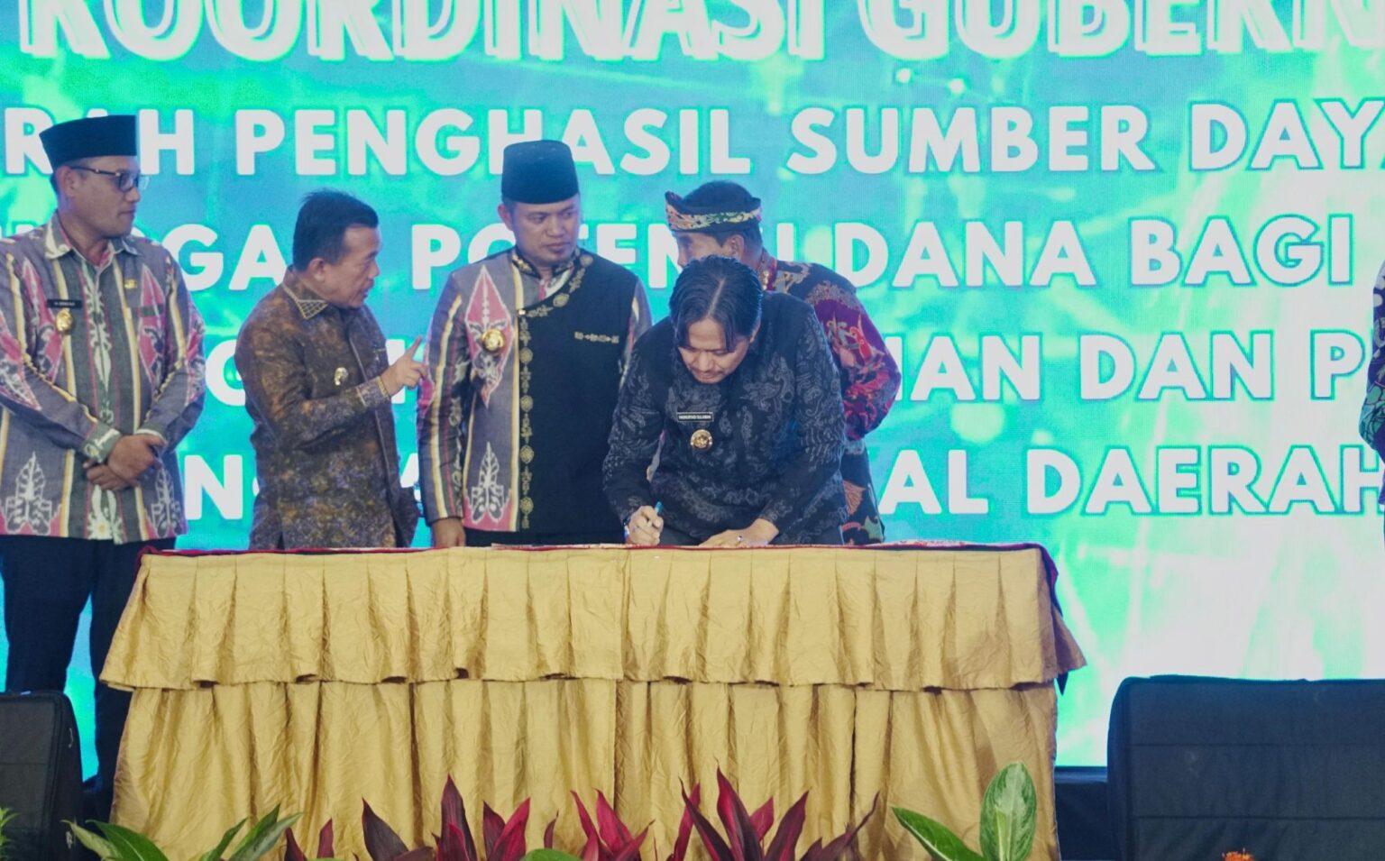 Rakor DBH SDA: Wagub Kalsel Dorong Sumber Energi Terbarukan