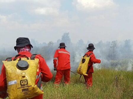 Puncak Kemarau Tiba, Kalsel Siaga Darurat Karhutla