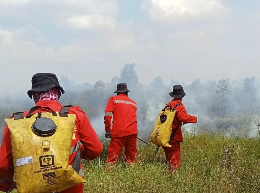 Puncak Kemarau Tiba, Kalsel Siaga Darurat Karhutla